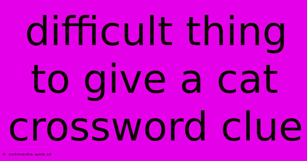 Difficult Thing To Give A Cat Crossword Clue