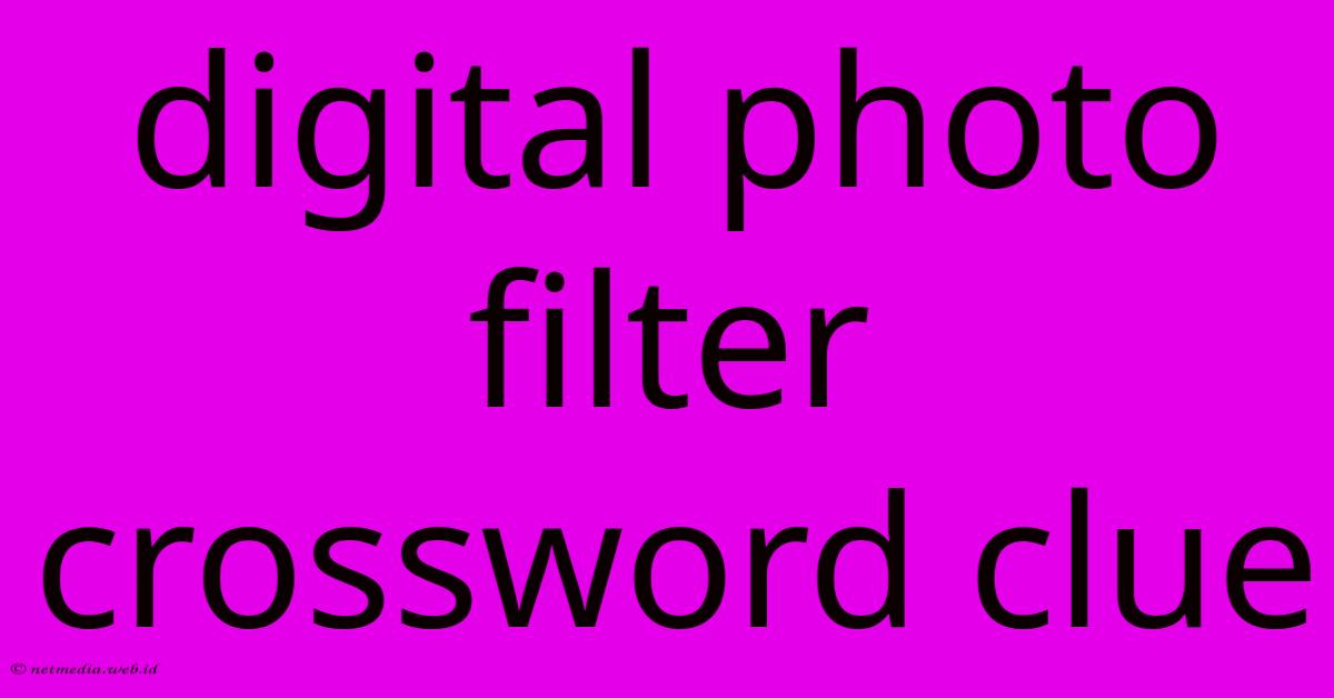 Digital Photo Filter Crossword Clue