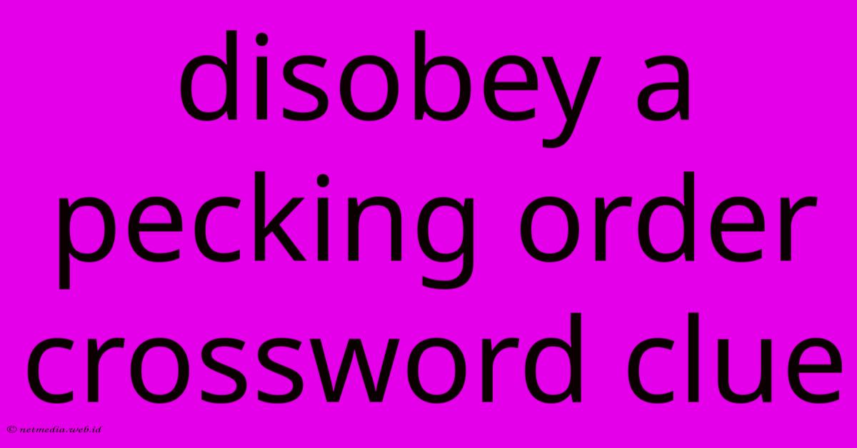 Disobey A Pecking Order Crossword Clue Disobey A Pecking Order Crossword Clue