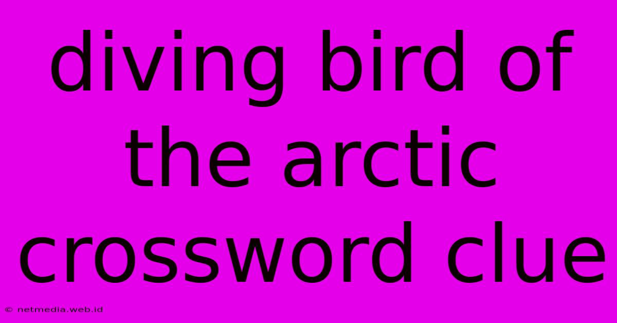 Diving Bird Of The Arctic Crossword Clue