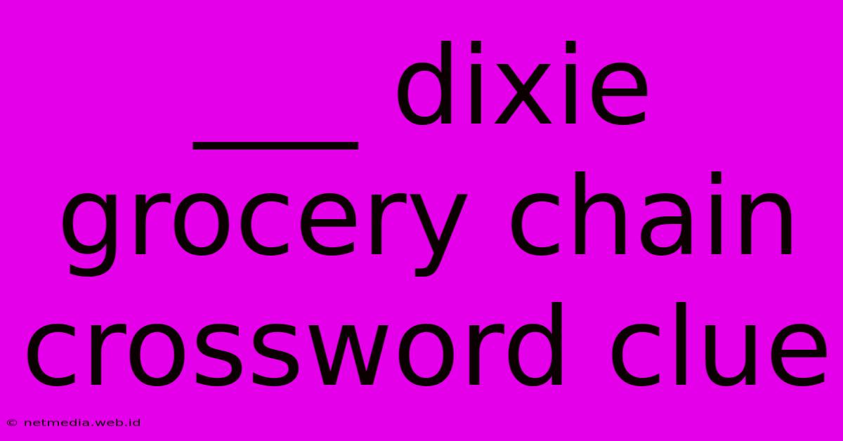 ___ Dixie Grocery Chain Crossword Clue