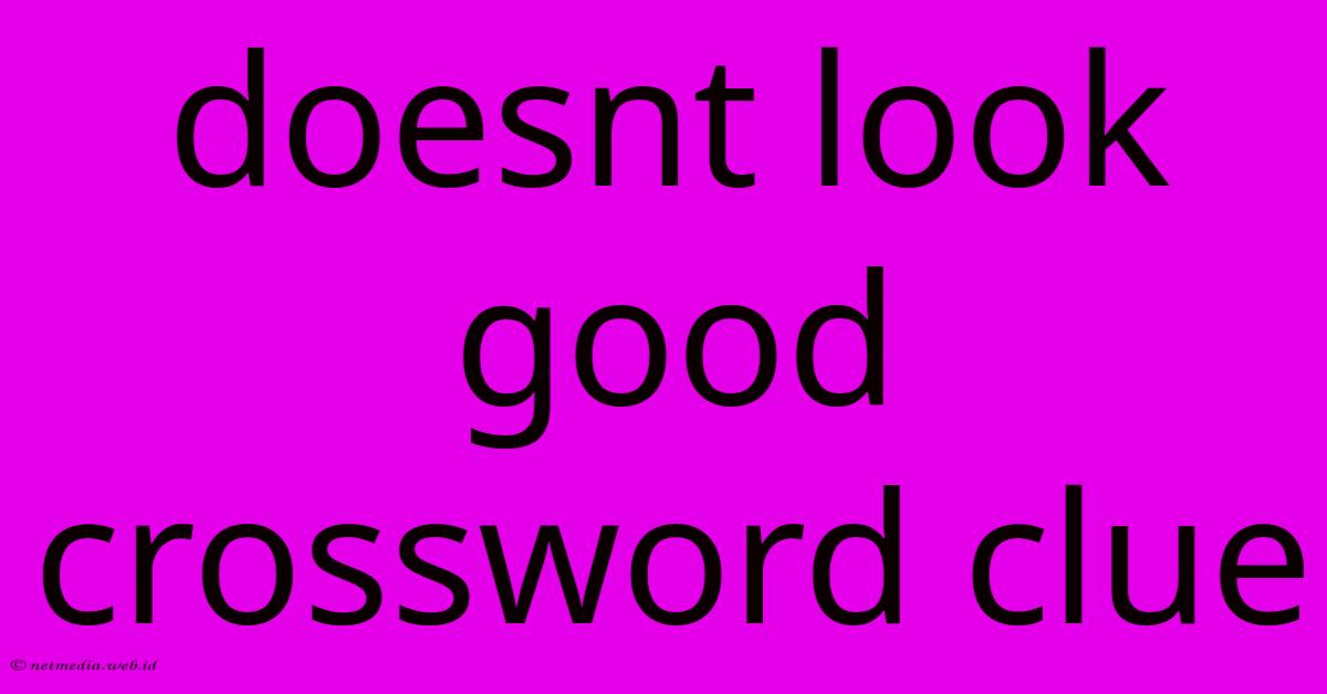 Doesnt Look Good Crossword Clue Doesnt Look Good Crossword Clue
