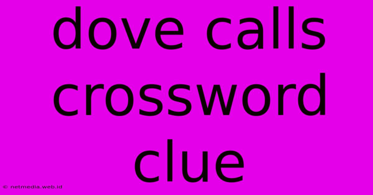 Dove Calls Crossword Clue