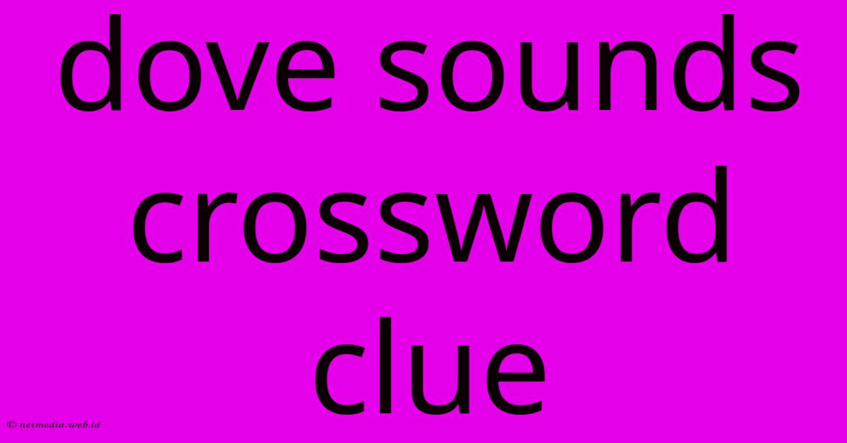 Dove Sounds Crossword Clue