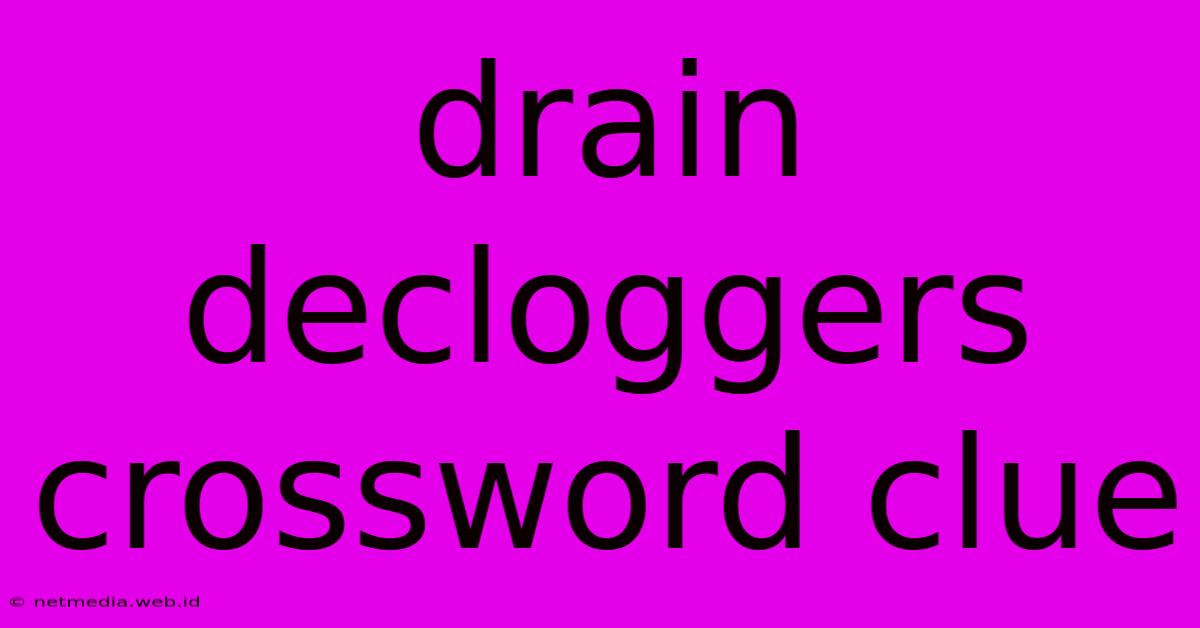 Drain Decloggers Crossword Clue