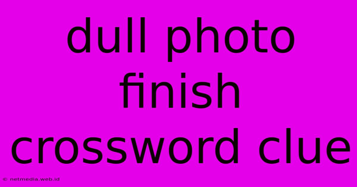 Dull Photo Finish Crossword Clue