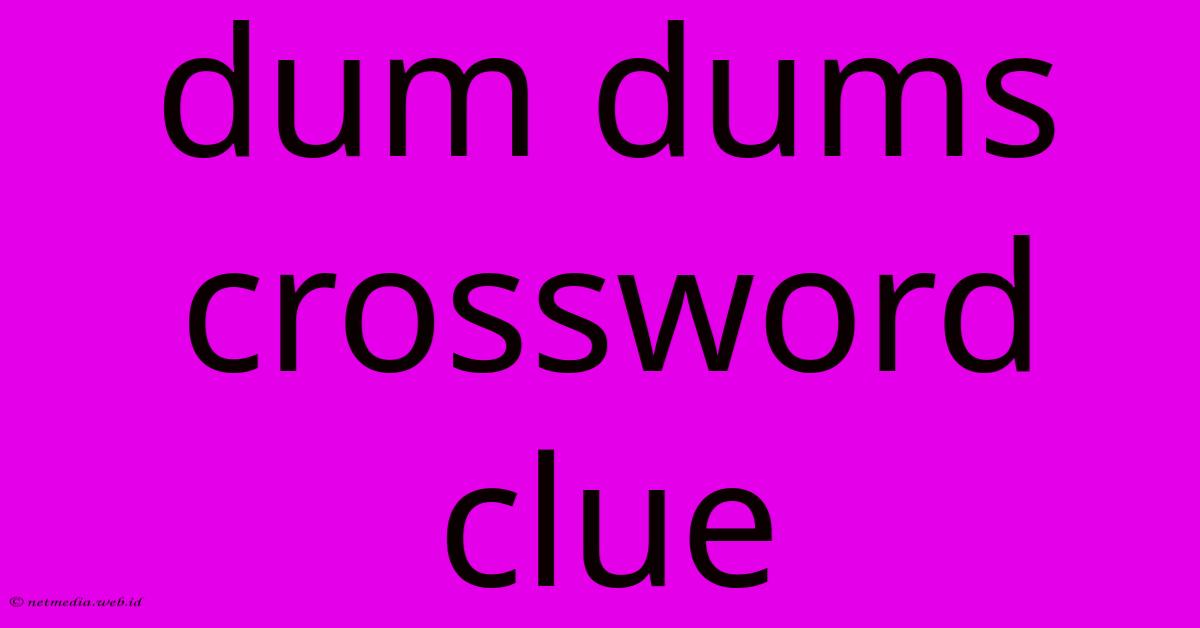 Dum Dums Crossword Clue