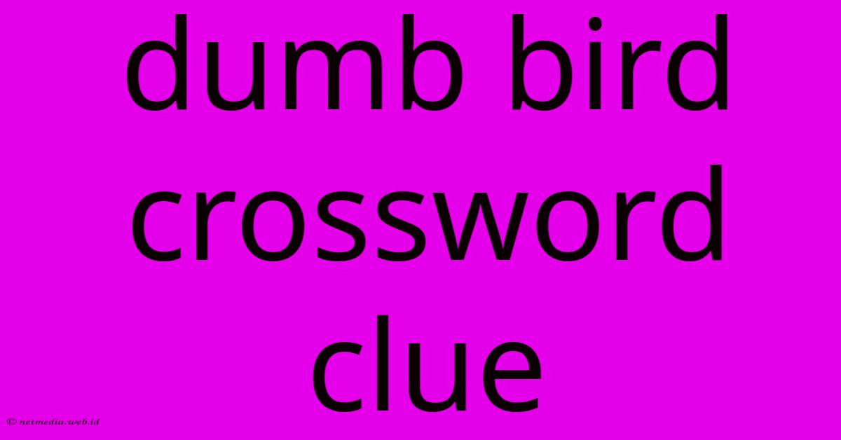 Dumb Bird Crossword Clue