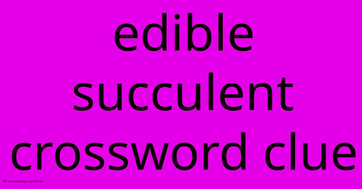 Edible Succulent Crossword Clue