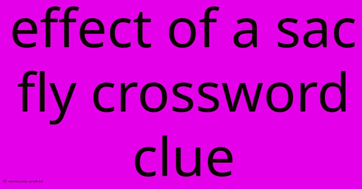 Effect Of A Sac Fly Crossword Clue Effect Of A Sac Fly Crossword Clue