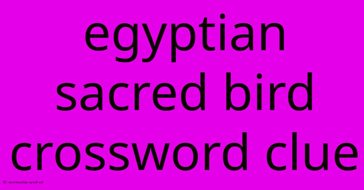 Egyptian Sacred Bird Crossword Clue