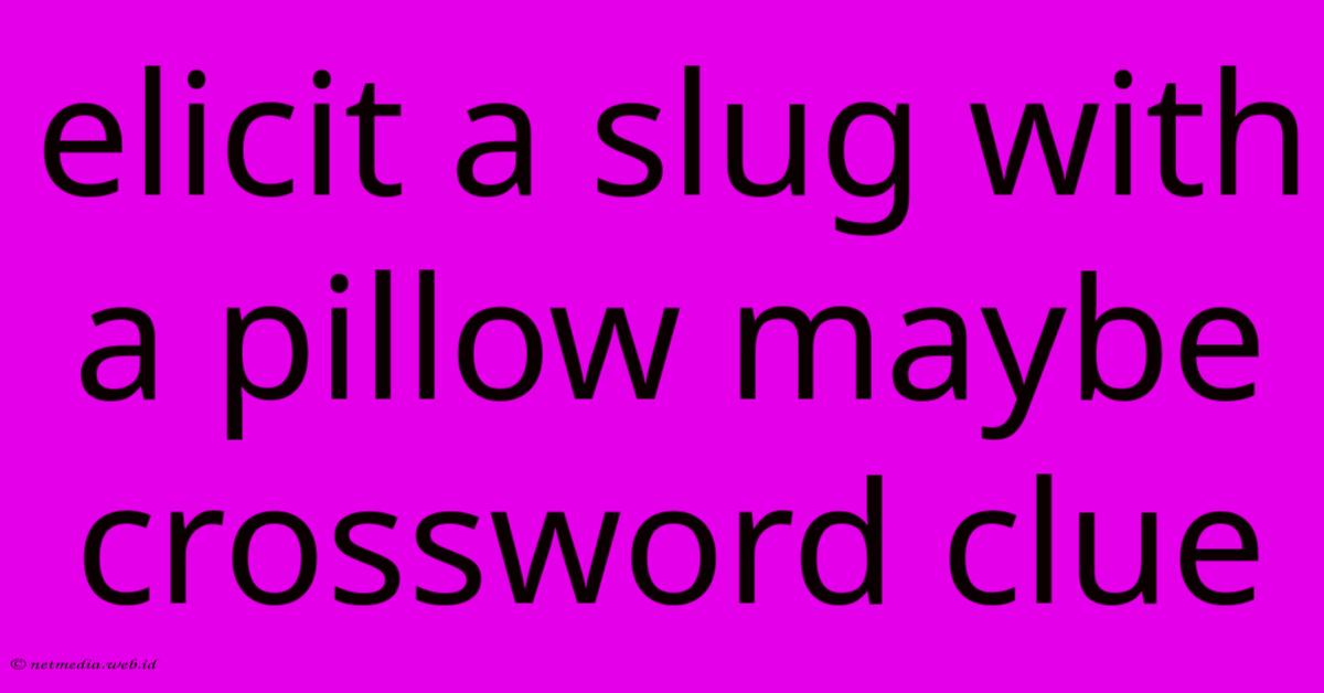 Elicit A Slug With A Pillow Maybe Crossword Clue Elicit A Slug With A Pillow Maybe Crossword Clue