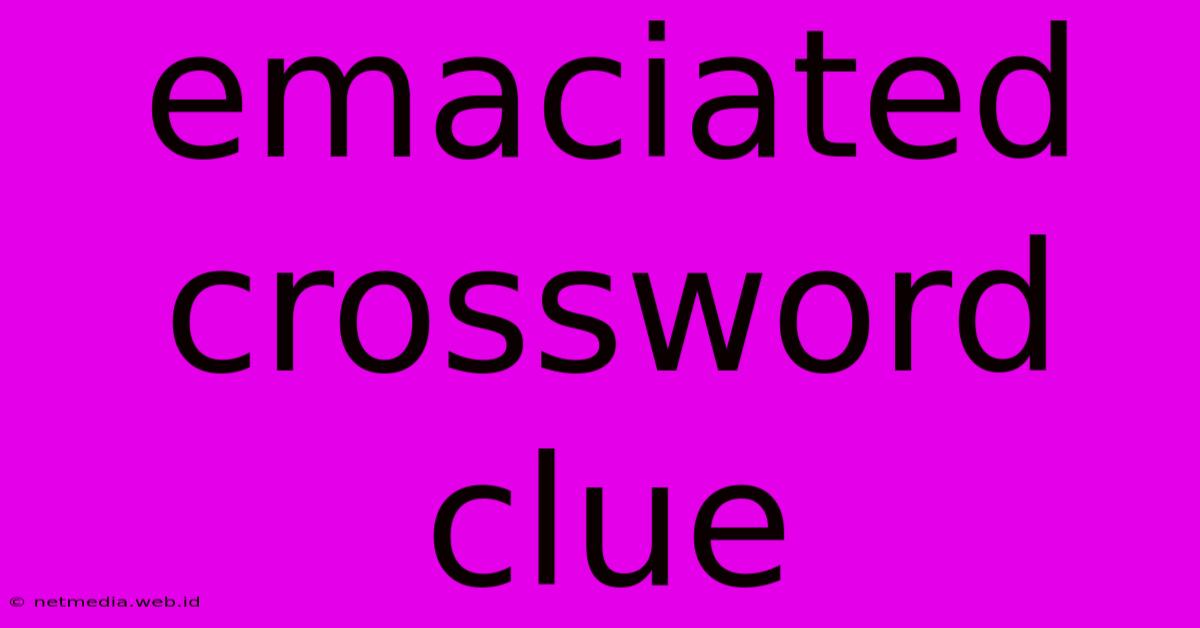 Emaciated Crossword Clue