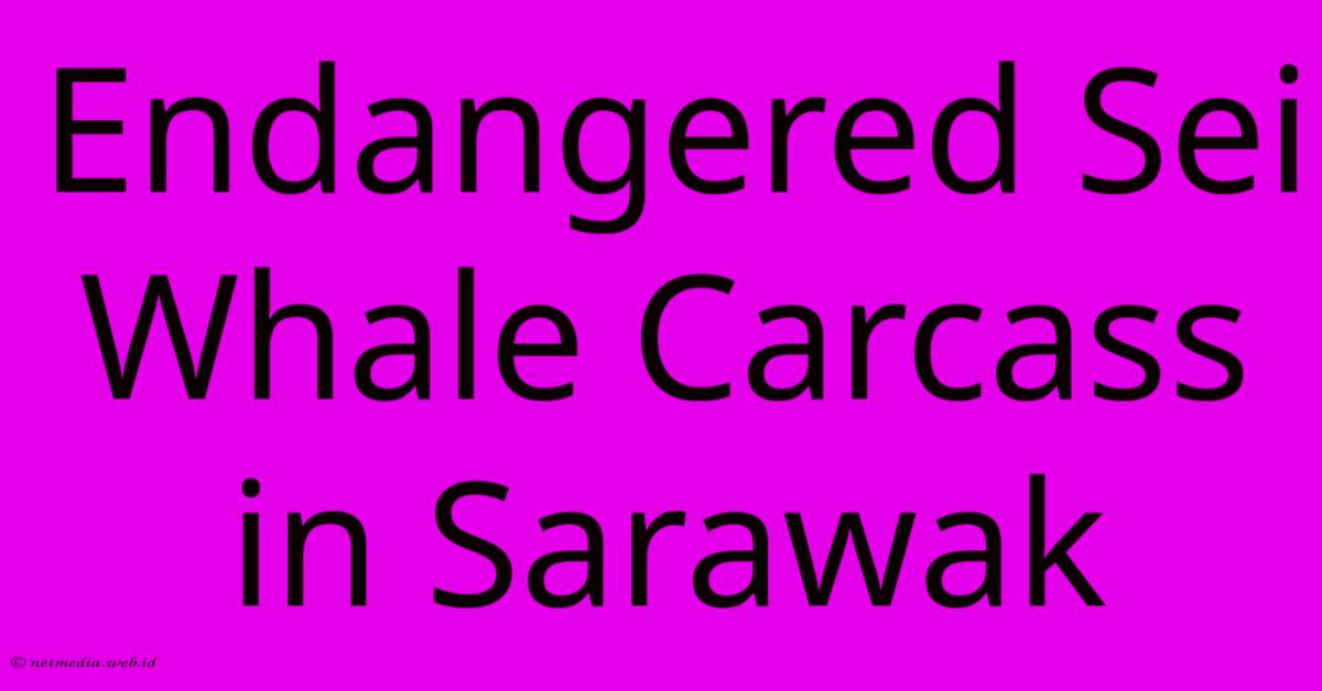 Endangered Sei Whale Carcass In Sarawak Endangered Sei Whale Carcass In Sarawak