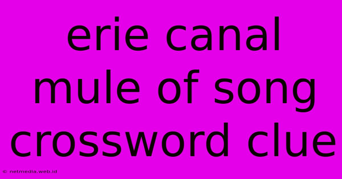 Erie Canal Mule Of Song Crossword Clue