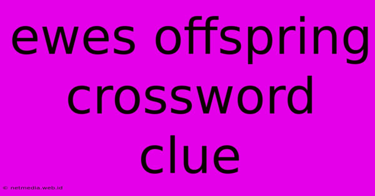 Ewes Offspring Crossword Clue