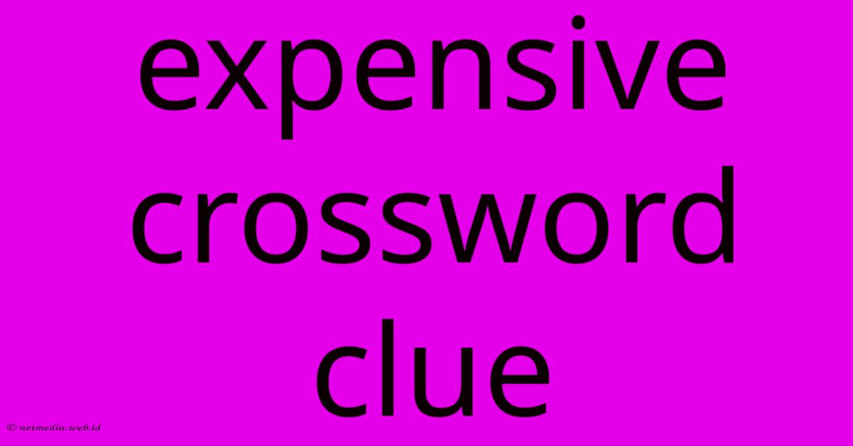 Expensive Crossword Clue