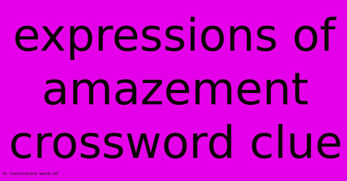 Expressions Of Amazement Crossword Clue