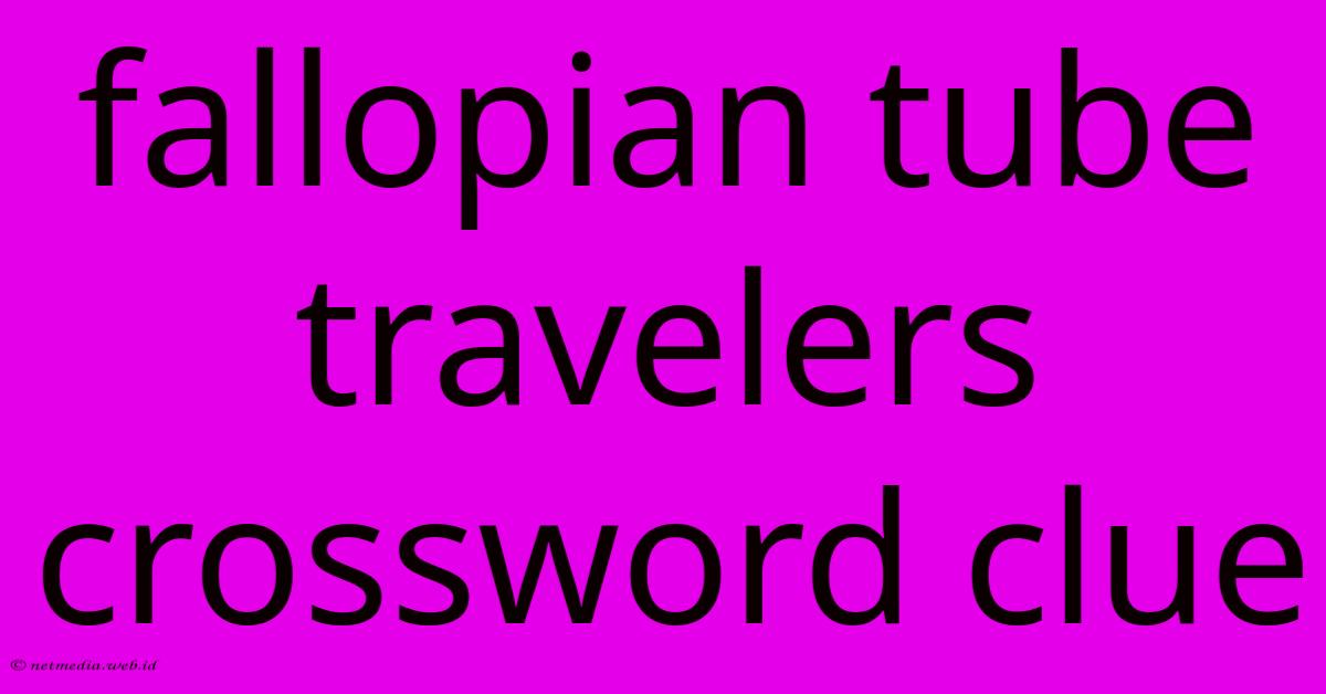 Fallopian Tube Travelers Crossword Clue