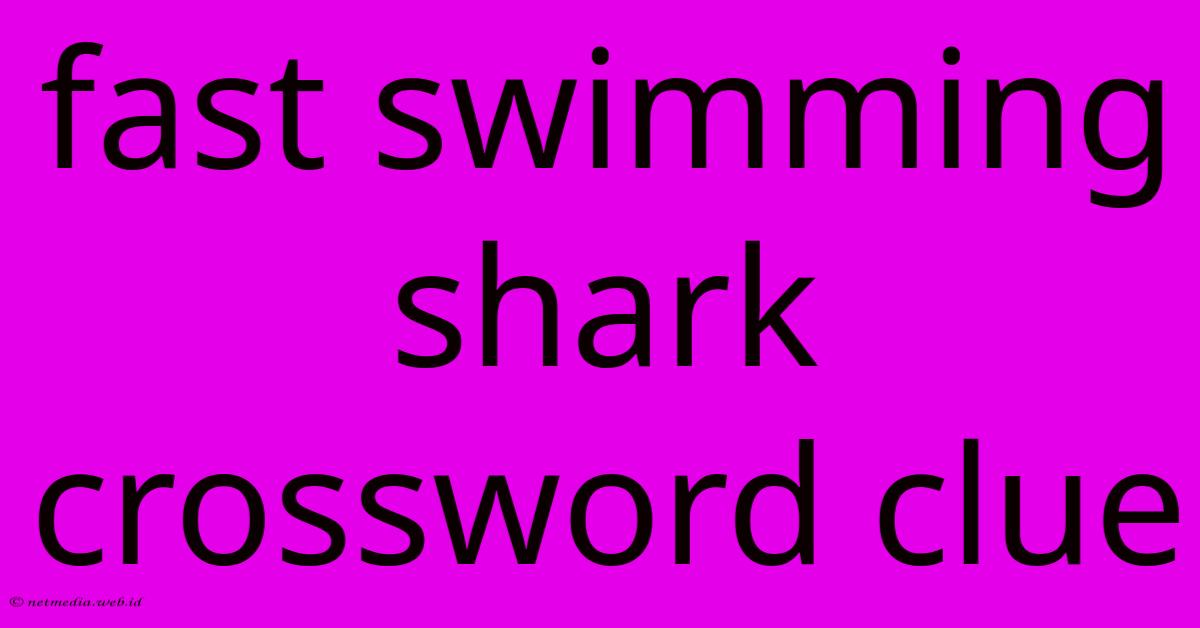 Fast Swimming Shark Crossword Clue