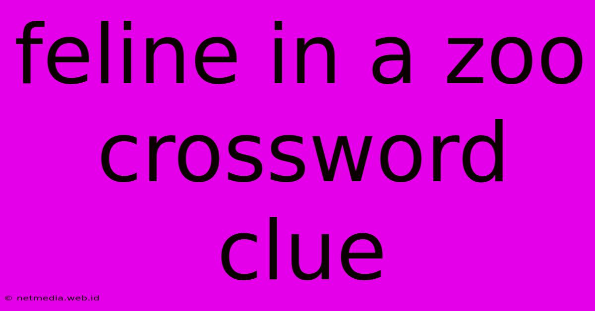 Feline In A Zoo Crossword Clue