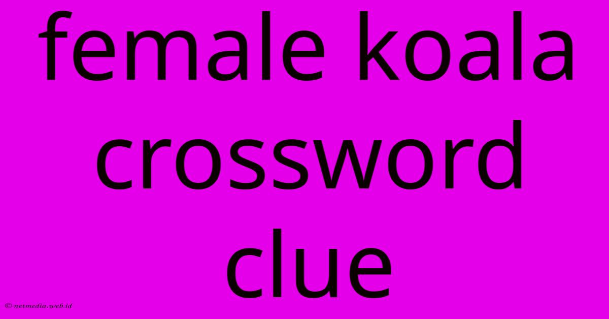 Female Koala Crossword Clue Female Koala Crossword Clue