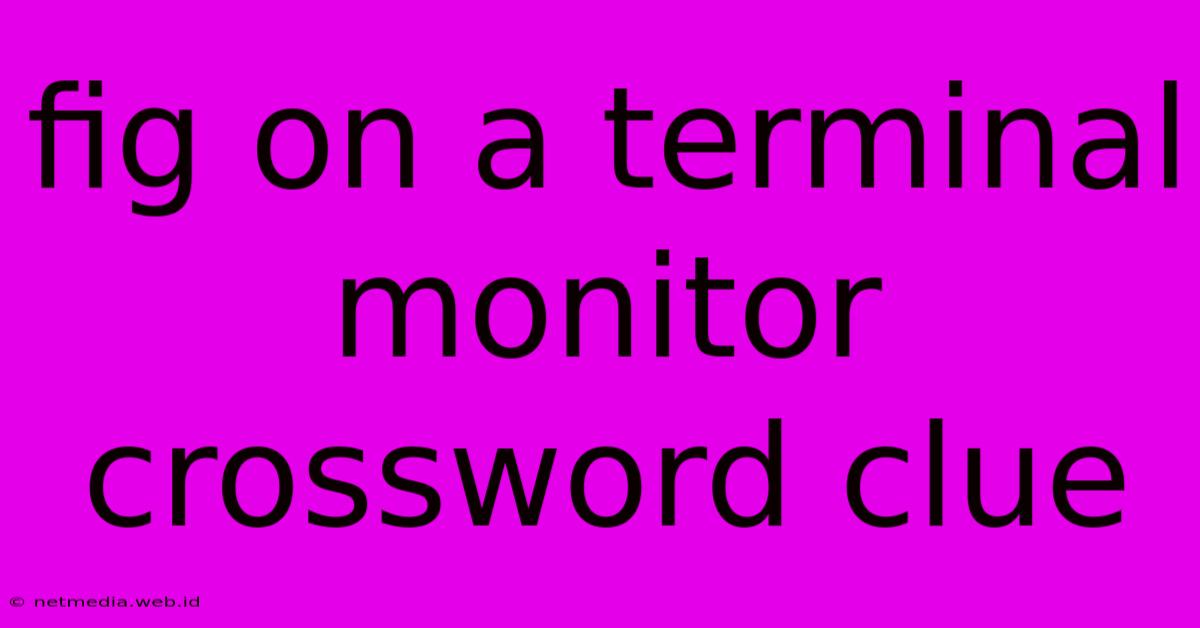 Fig On A Terminal Monitor Crossword Clue