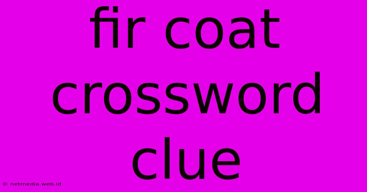 Fir Coat Crossword Clue