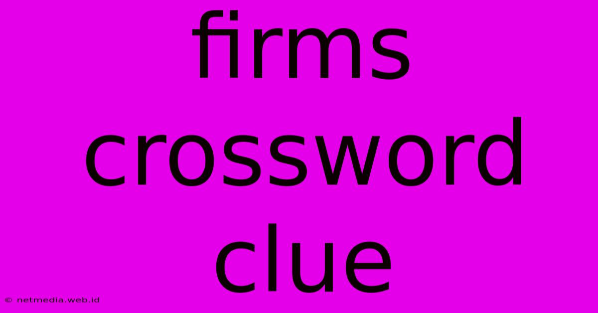 Firms Crossword Clue