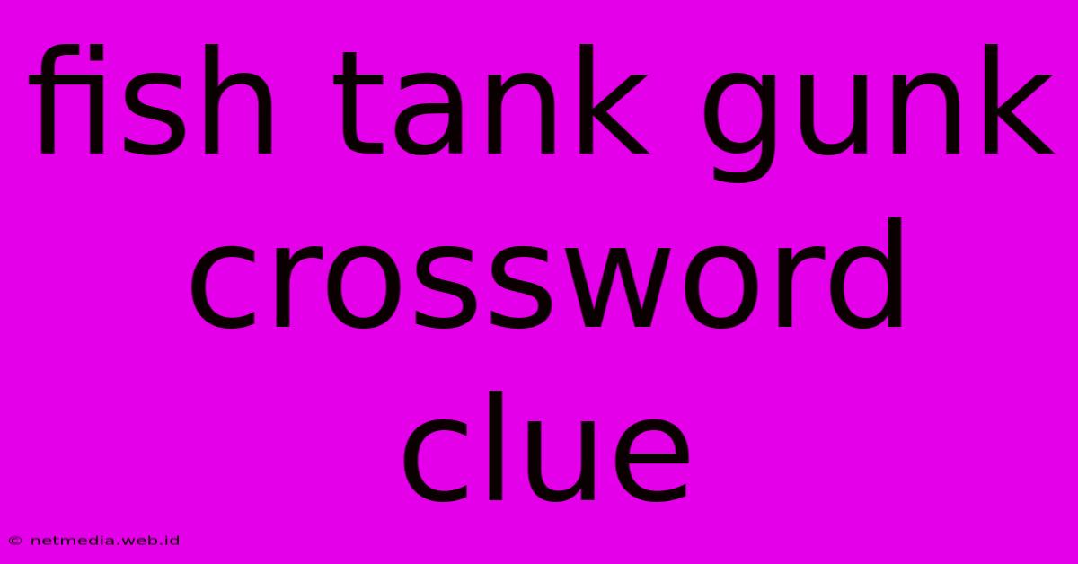 Fish Tank Gunk Crossword Clue