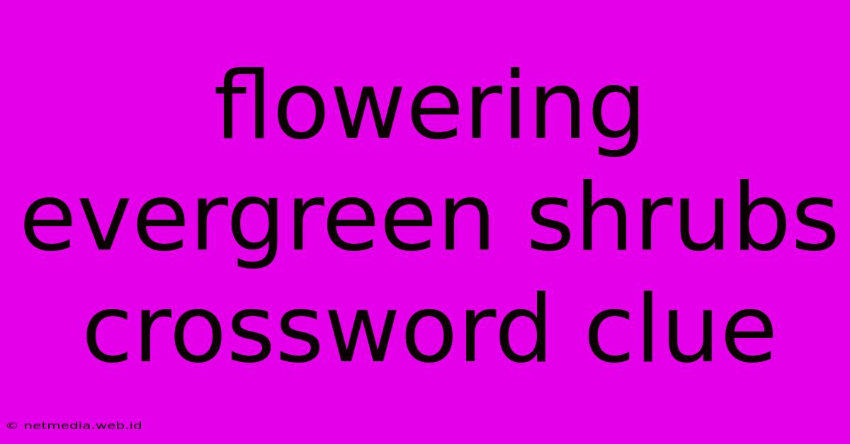 Flowering Evergreen Shrubs Crossword Clue