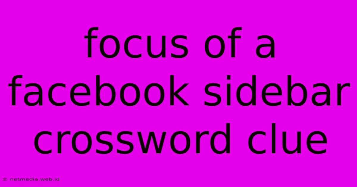 Focus Of A Facebook Sidebar Crossword Clue