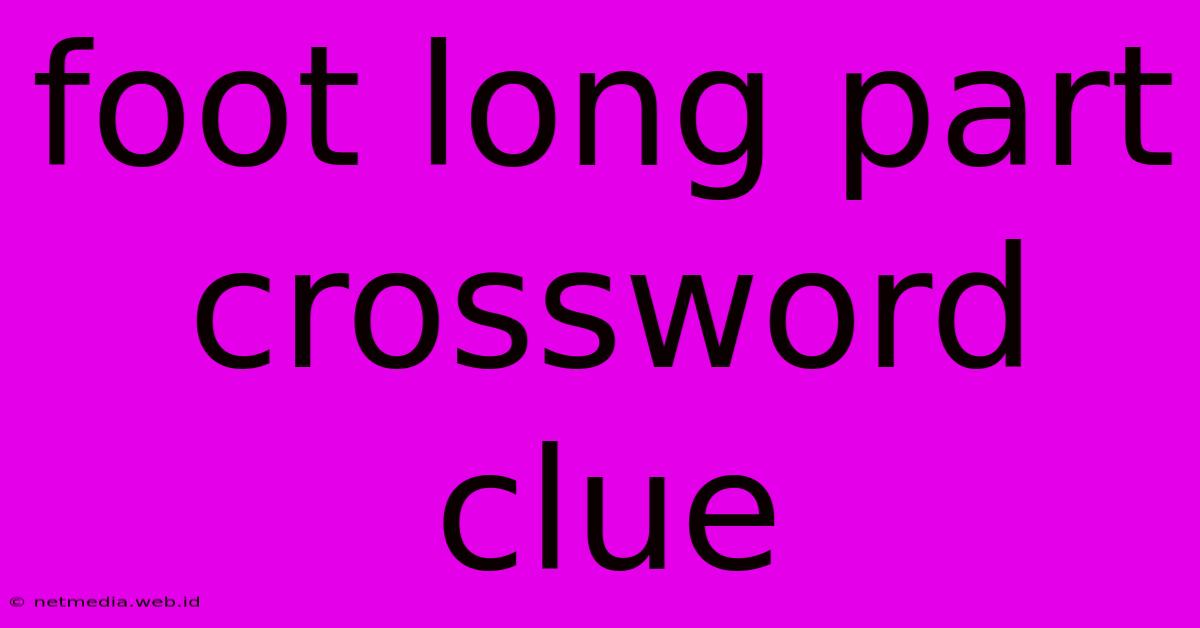 Foot Long Part Crossword Clue