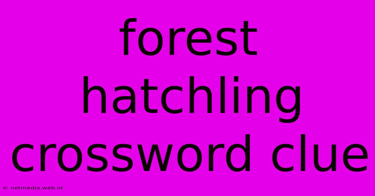 Forest Hatchling Crossword Clue