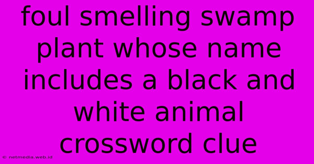 Foul Smelling Swamp Plant Whose Name Includes A Black And White Animal Crossword Clue