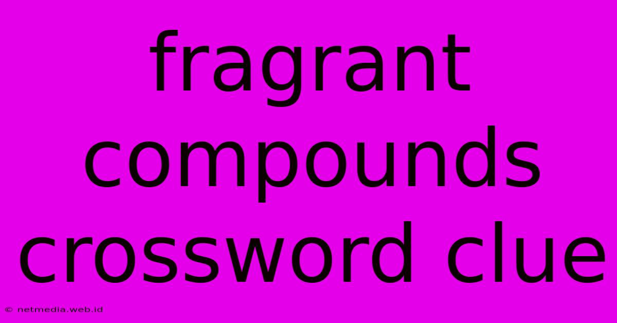 Fragrant Compounds Crossword Clue