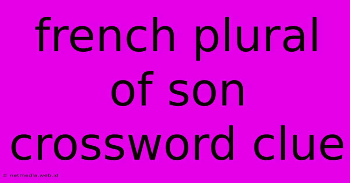 French Plural Of Son Crossword Clue