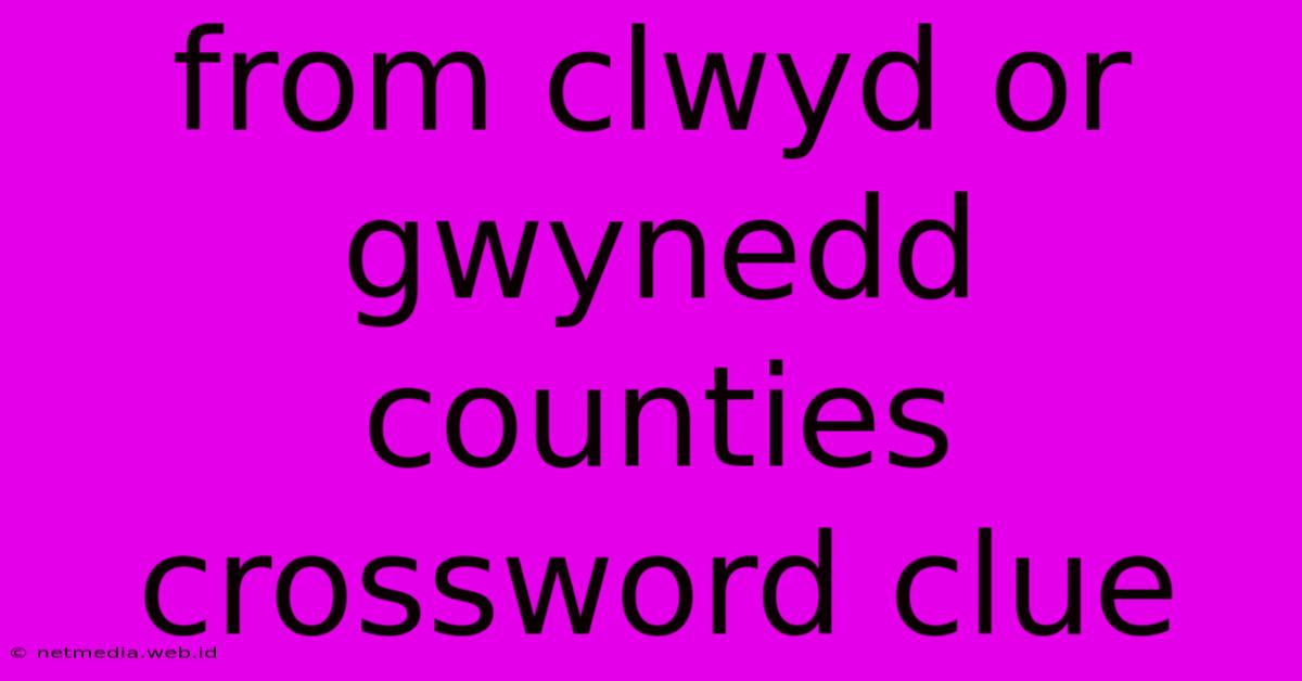 From Clwyd Or Gwynedd Counties Crossword Clue