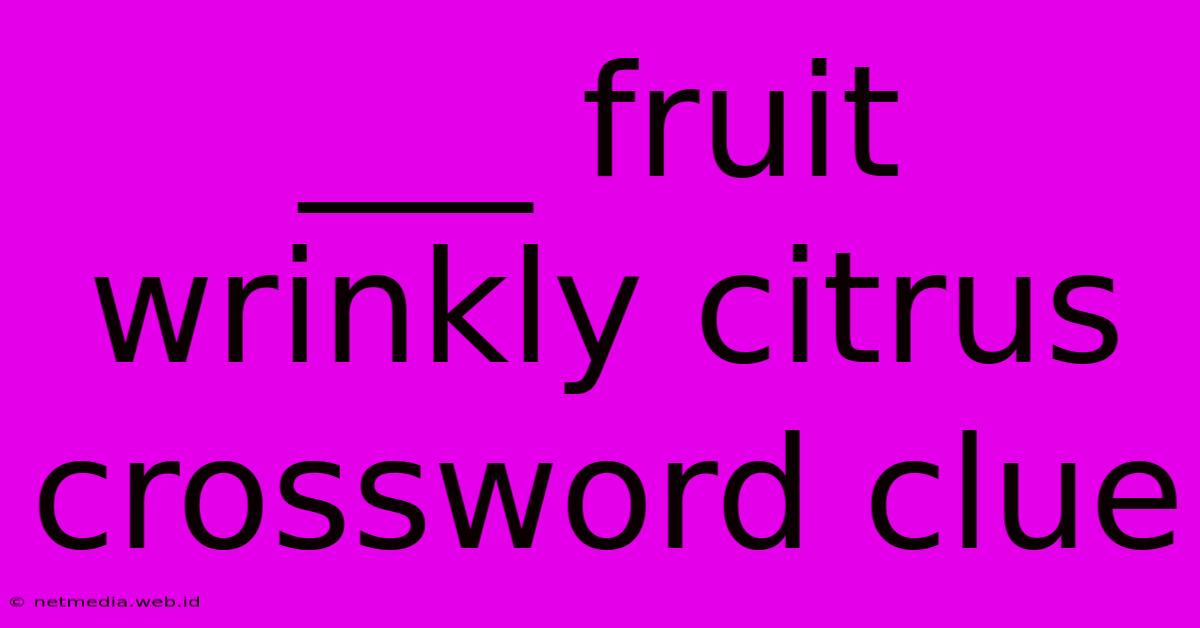 ___ Fruit Wrinkly Citrus Crossword Clue