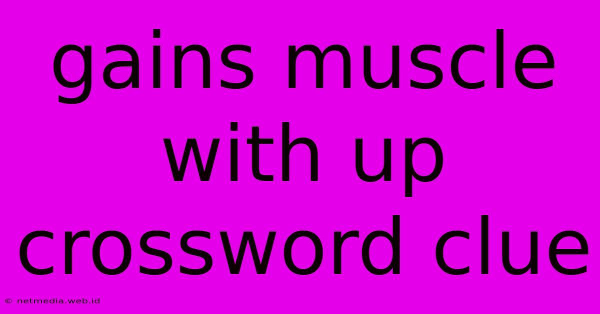 Gains Muscle With Up Crossword Clue