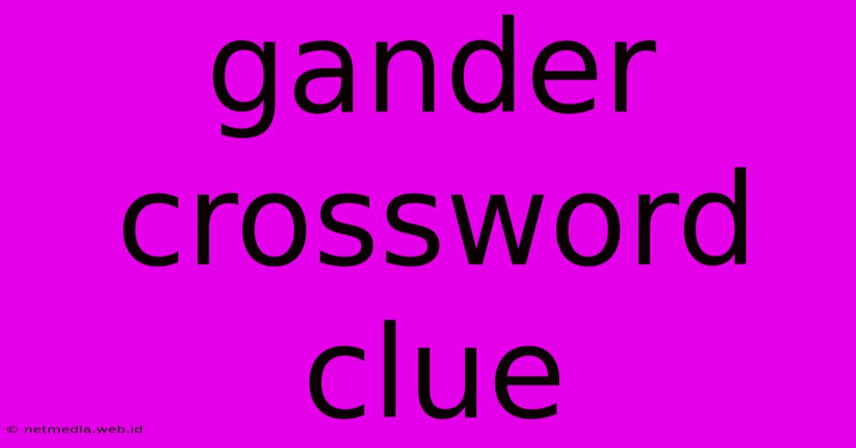 Gander Crossword Clue