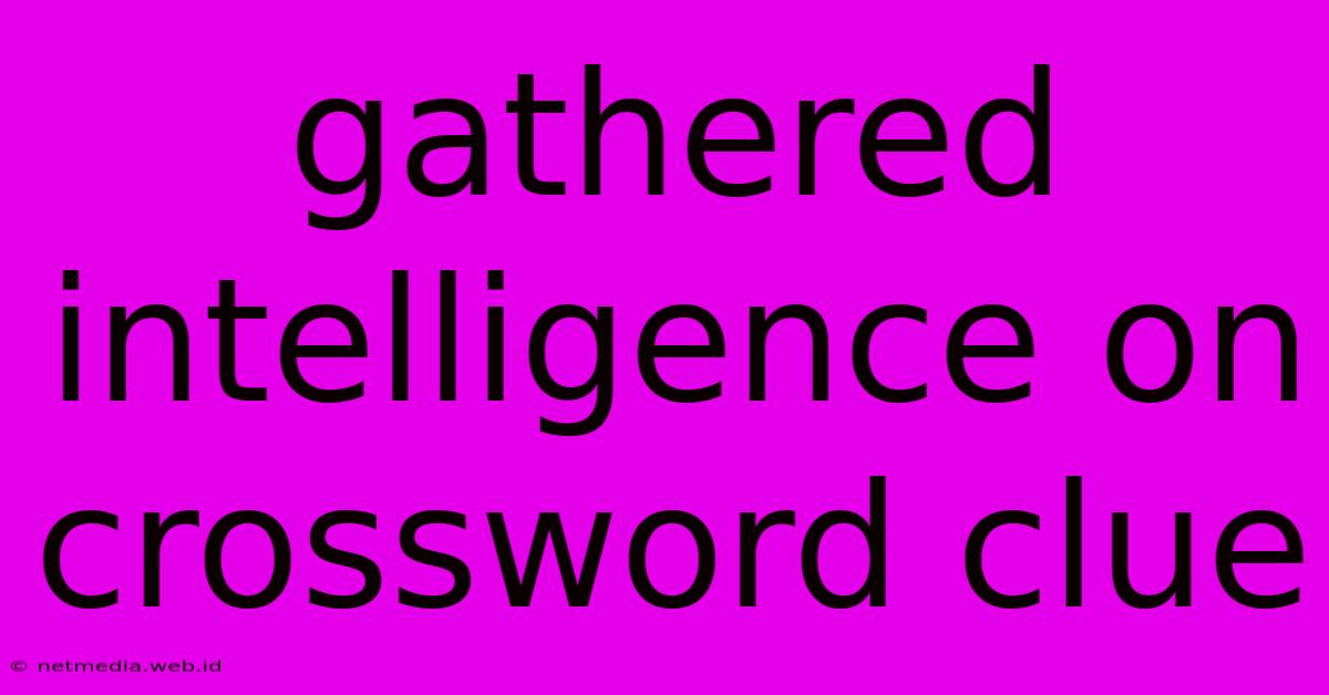 Gathered Intelligence On Crossword Clue