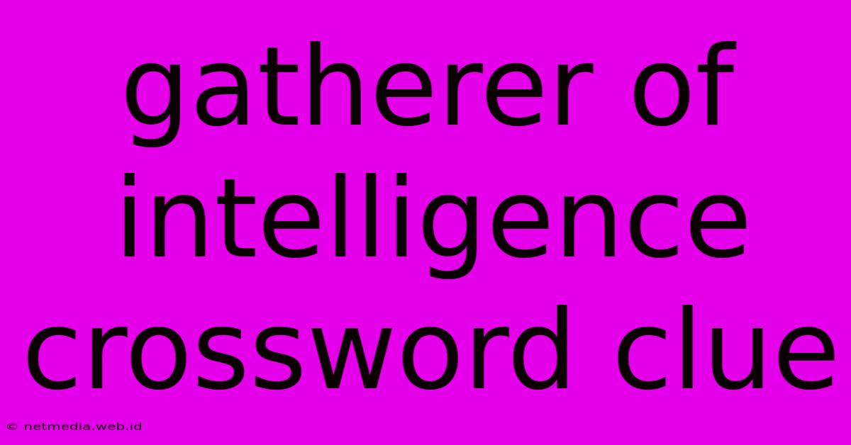 Gatherer Of Intelligence Crossword Clue