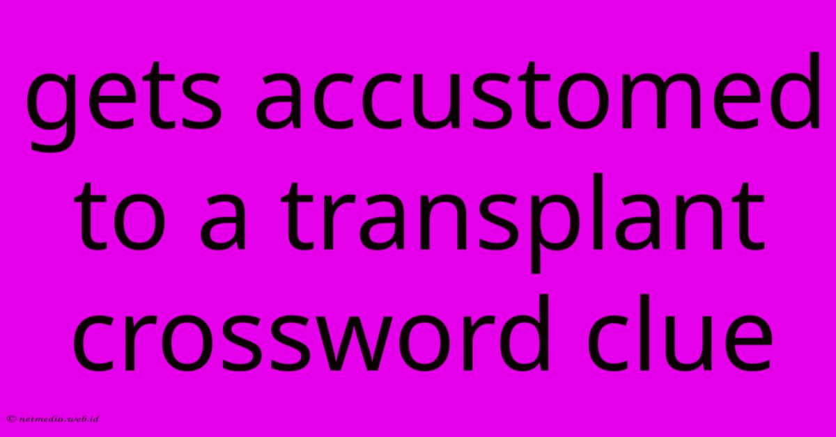 Gets Accustomed To A Transplant Crossword Clue Gets Accustomed To A Transplant Crossword Clue