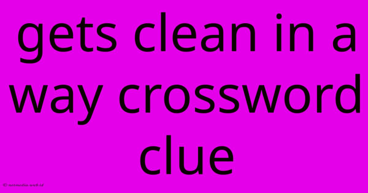 Gets Clean In A Way Crossword Clue Gets Clean In A Way Crossword Clue