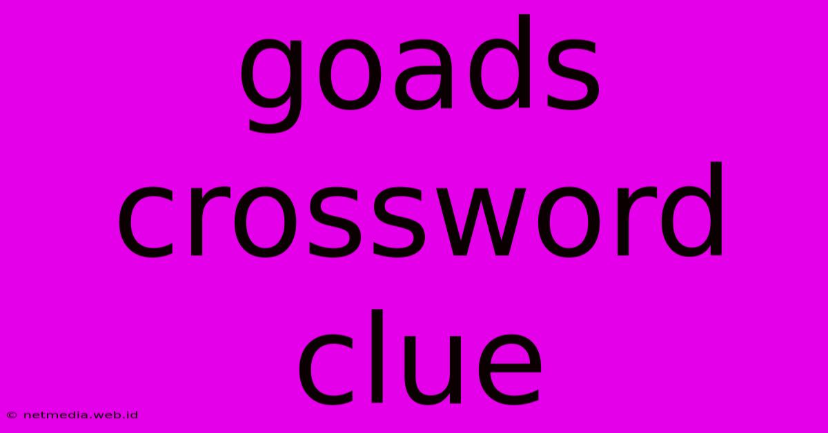 Goads Crossword Clue