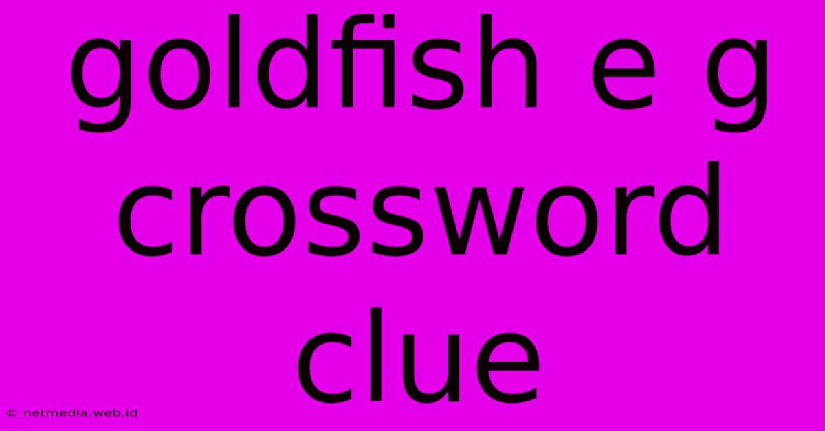 Goldfish E G Crossword Clue