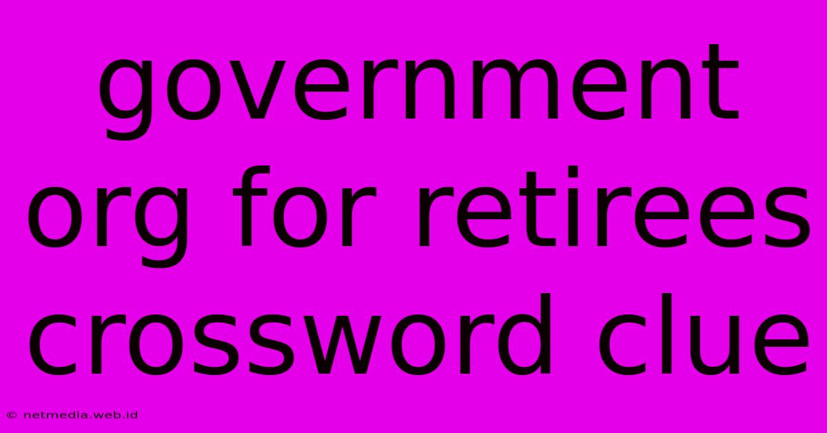 Government Org For Retirees Crossword Clue