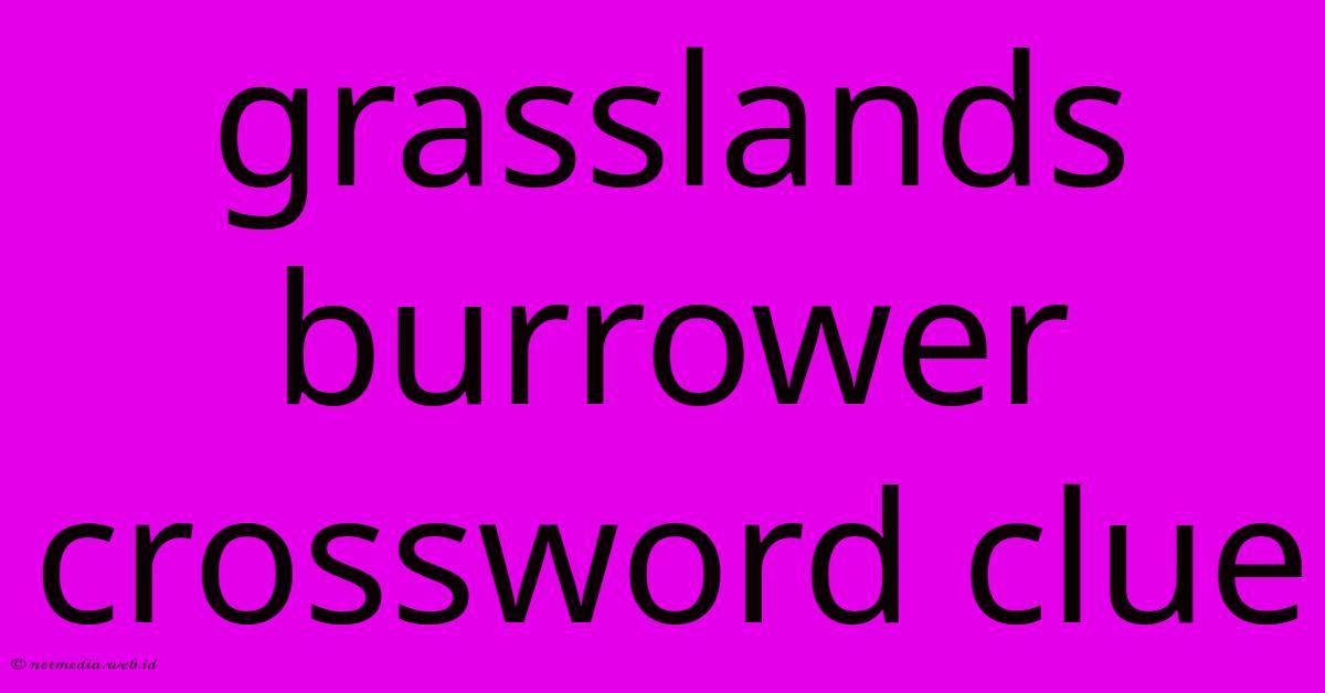 Grasslands Burrower Crossword Clue Grasslands Burrower Crossword Clue