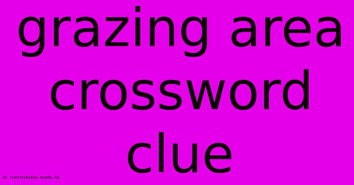 Grazing Area Crossword Clue